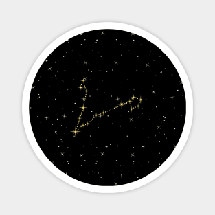 Pisces Star Constellation Magnet